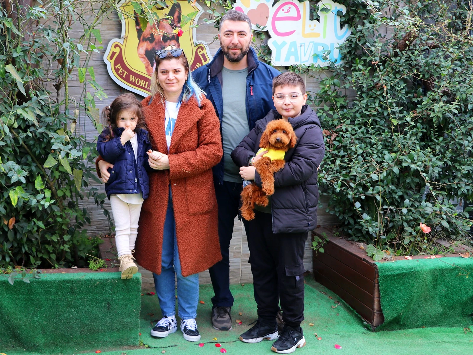 Kocalar ailesi Redbrown Poodle yavrularına kavuştular