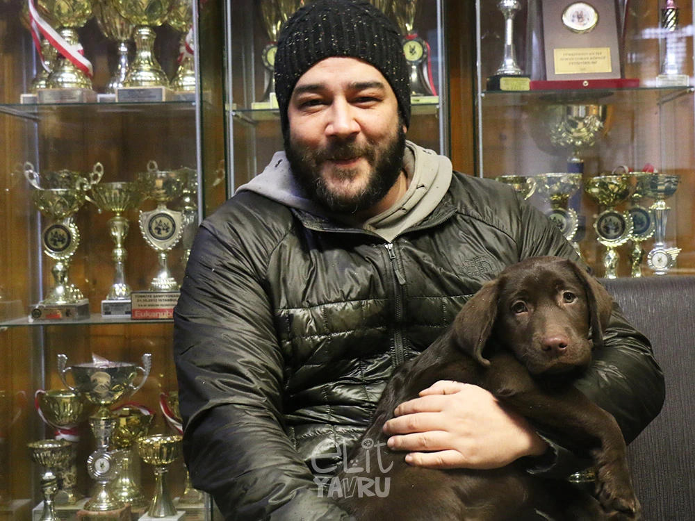 Labrador Dexter yeni ailesinde