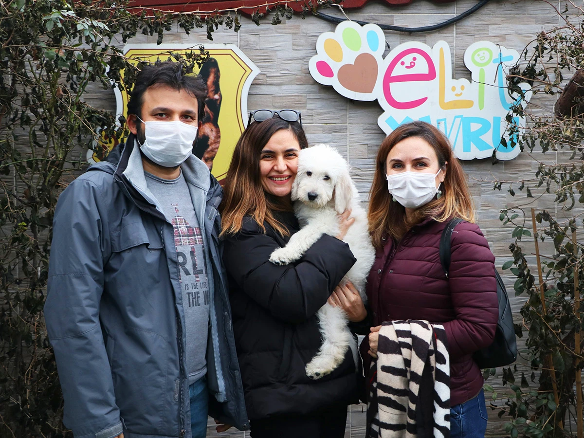 Mahmut Bey ve ailesi Labradoodle yavrularına kavuştular