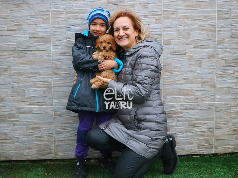 Meral Şahan ve oğlu, Poodle elit yavrularına kavuştu