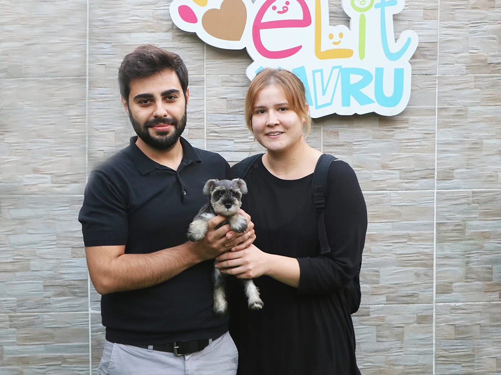 Muhammed&Damla çifti, Schnauzer yavrularına kavuştu