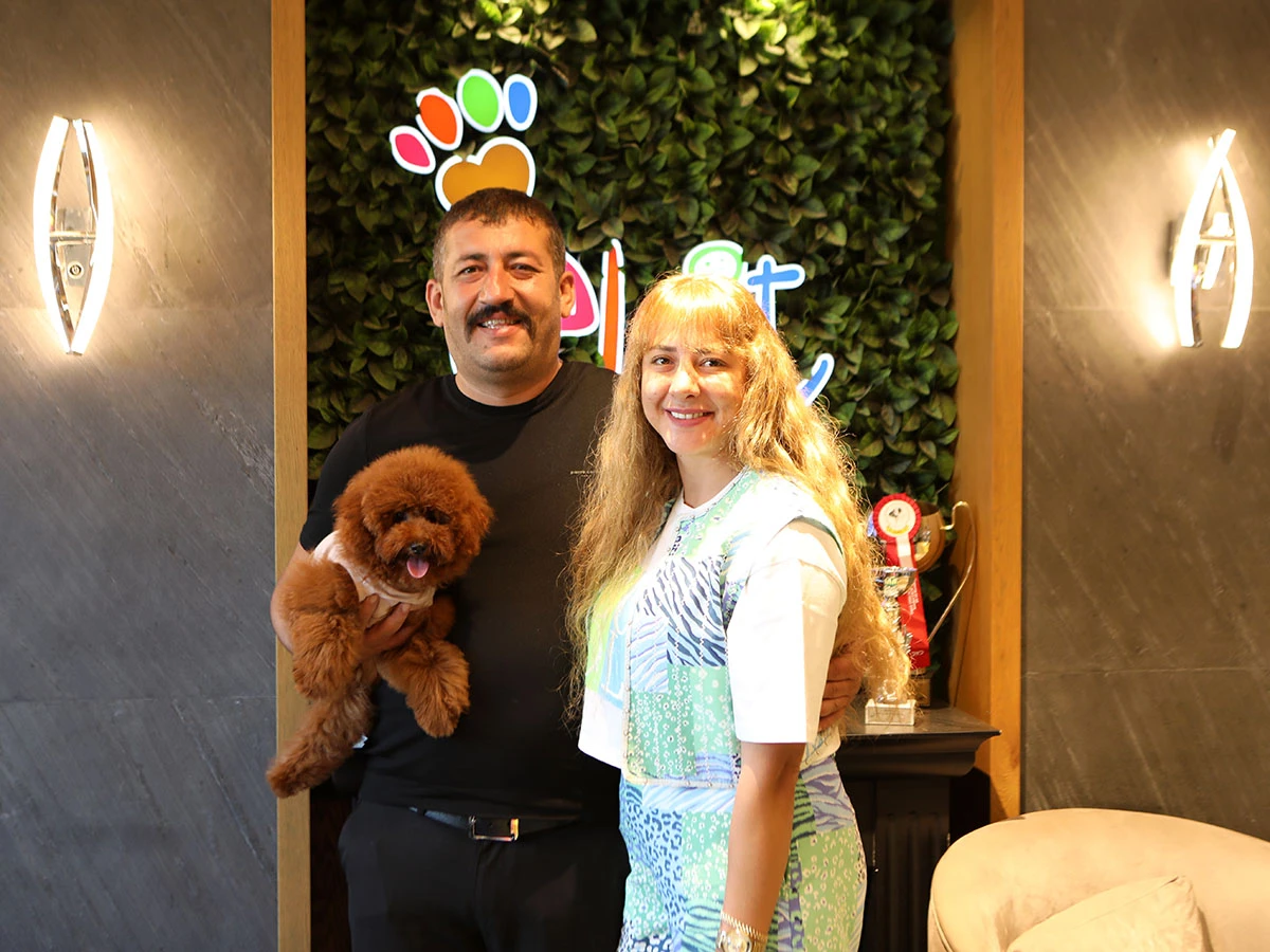 Ankara'dan Çevik ailesi Poodle yavrularına kavuştular