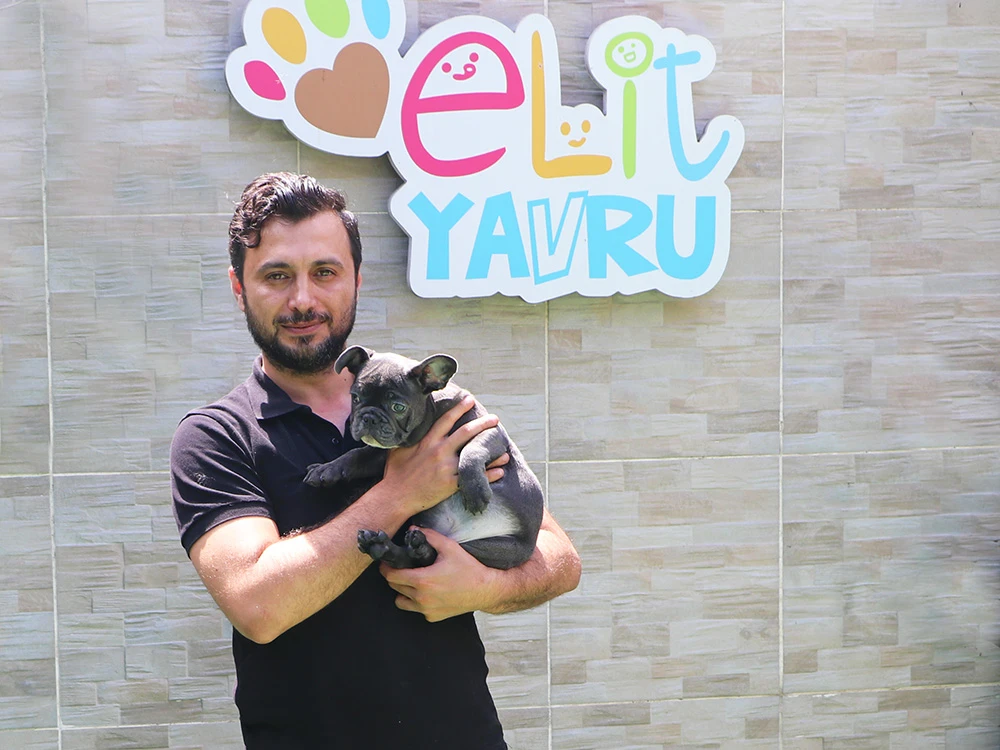 Ömer Bey, Blue French Bulldog elit yavrusuna kavuştu