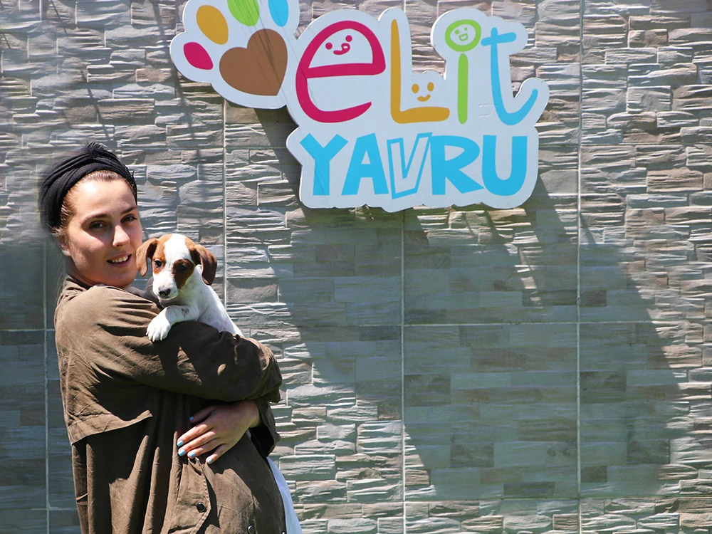 Pelin Hanım, Jack Russell yavrusu Vira'ya kavuştu