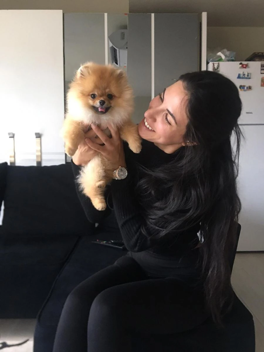 Pomeranian Çika tuvalet eğitimini başarıyla tamamladı