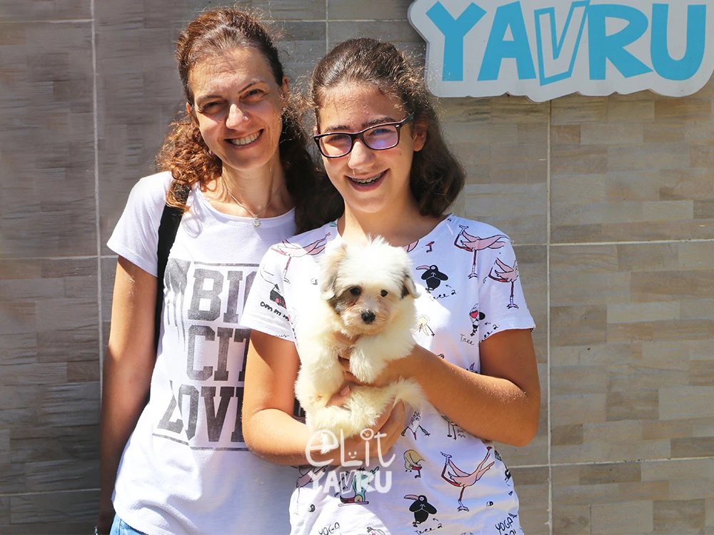 Şale Hanım, kızları için Coton de Tulear sahibi oldu