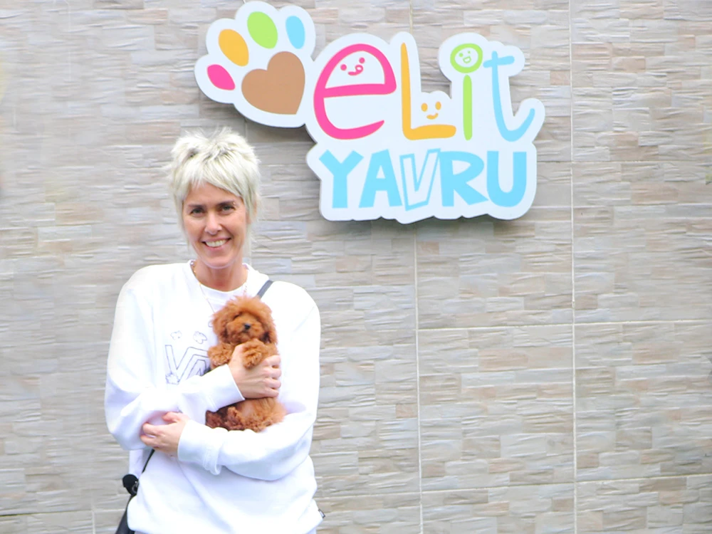 Şebnem Hanım, Toy Poodle elit yavrusuna kavuştu