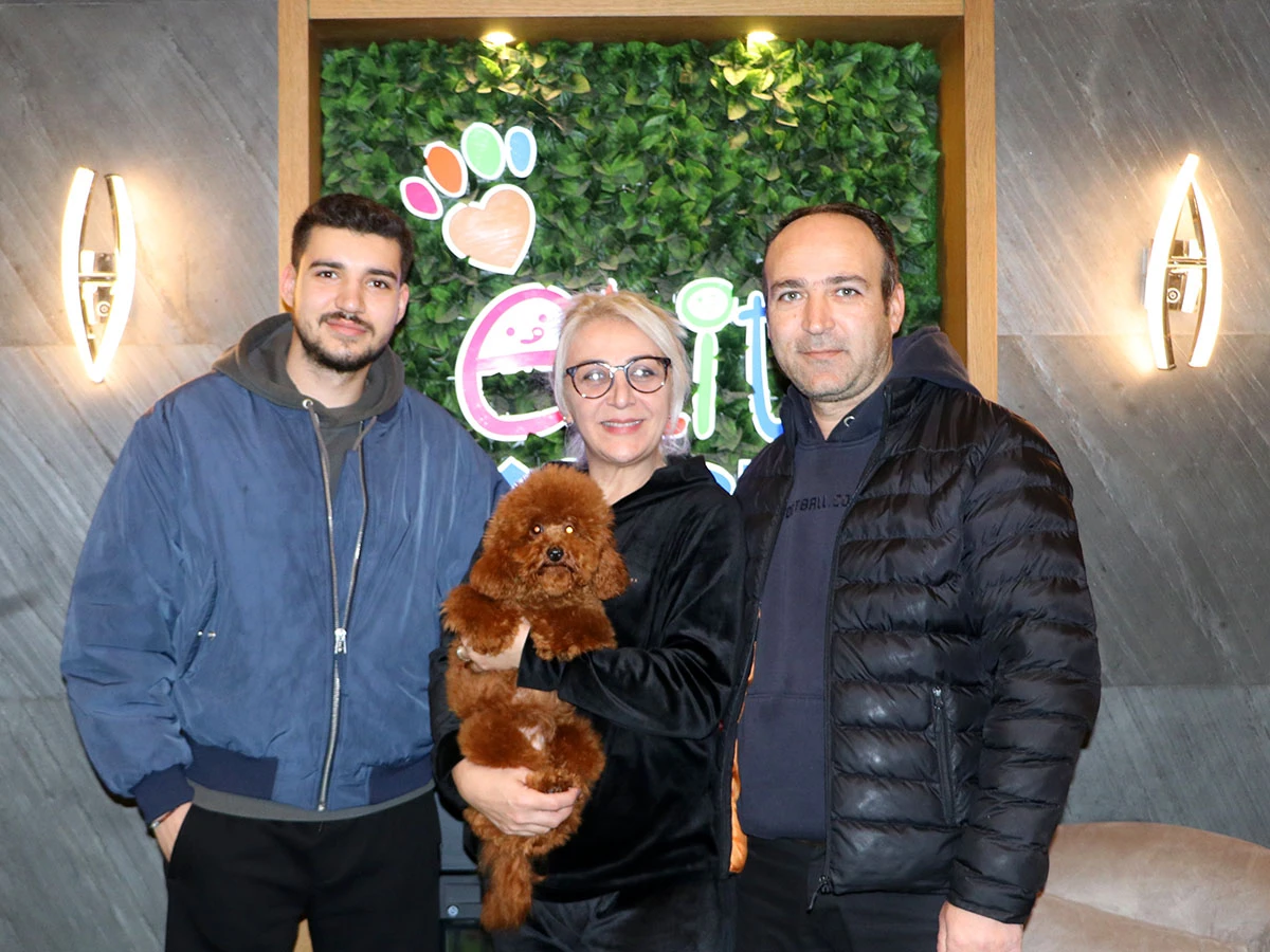 Bilecik'ten Aslan ailesi Poodle yavrularına kavuştular