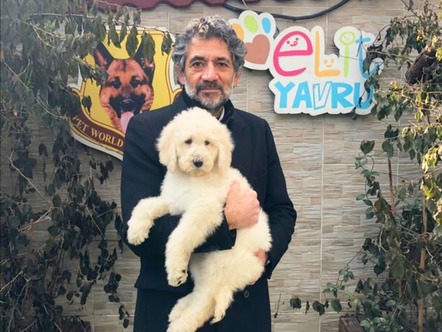 Sevgili Murat Yalçındağ Labradoodle yavrusuna kavuştu