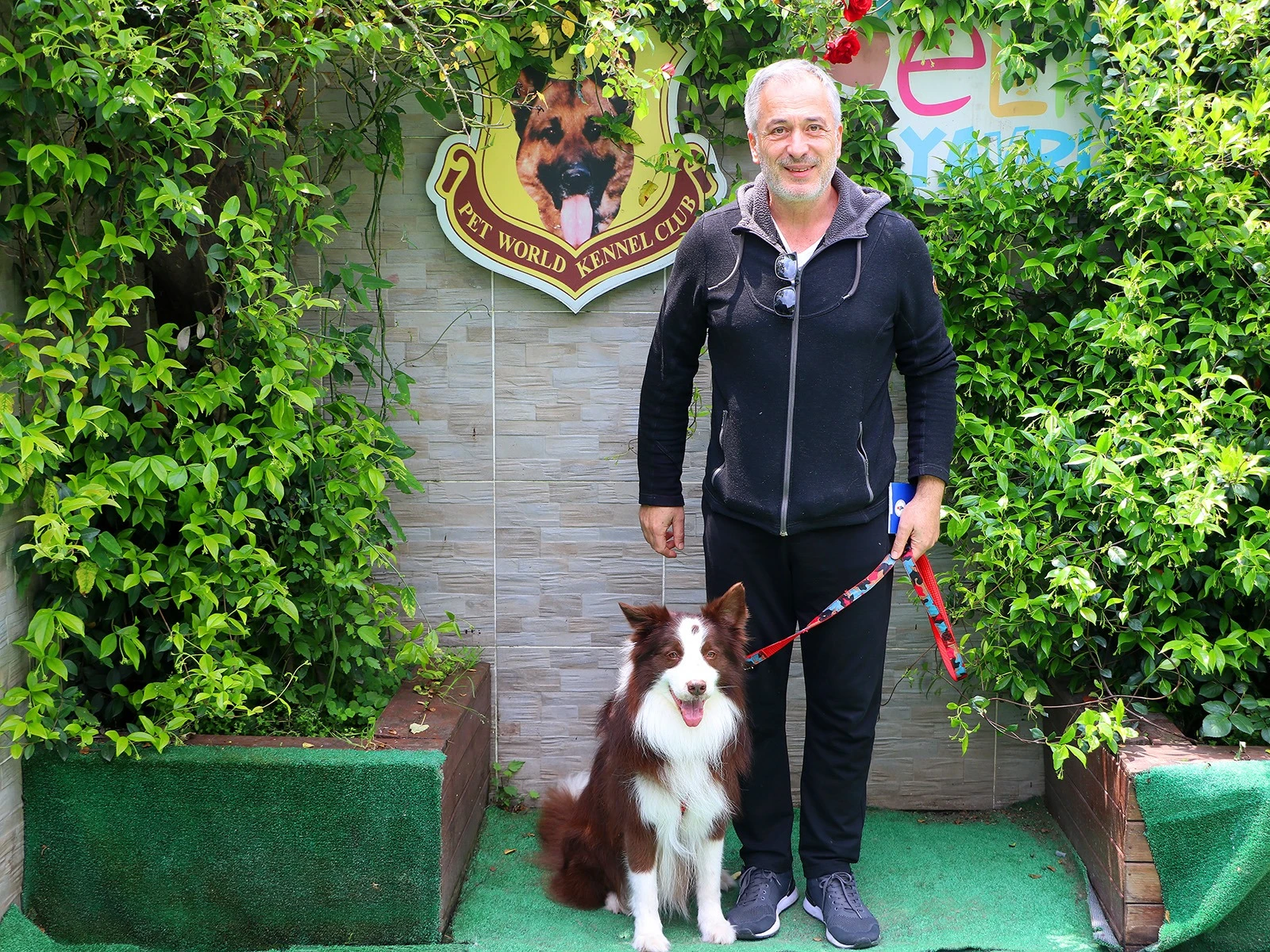 Sevimli Pansiyonerimiz Border Collie Gio