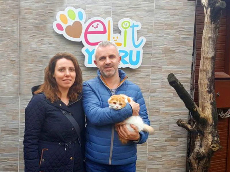 Umut Bey, Scottish Fold cinsi elit yavrusuna kavuştu