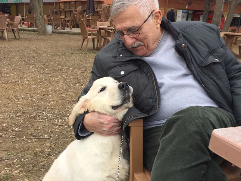 Yılmaz Sargun, Golden Retriever cinsi yavrusuna kavuştu