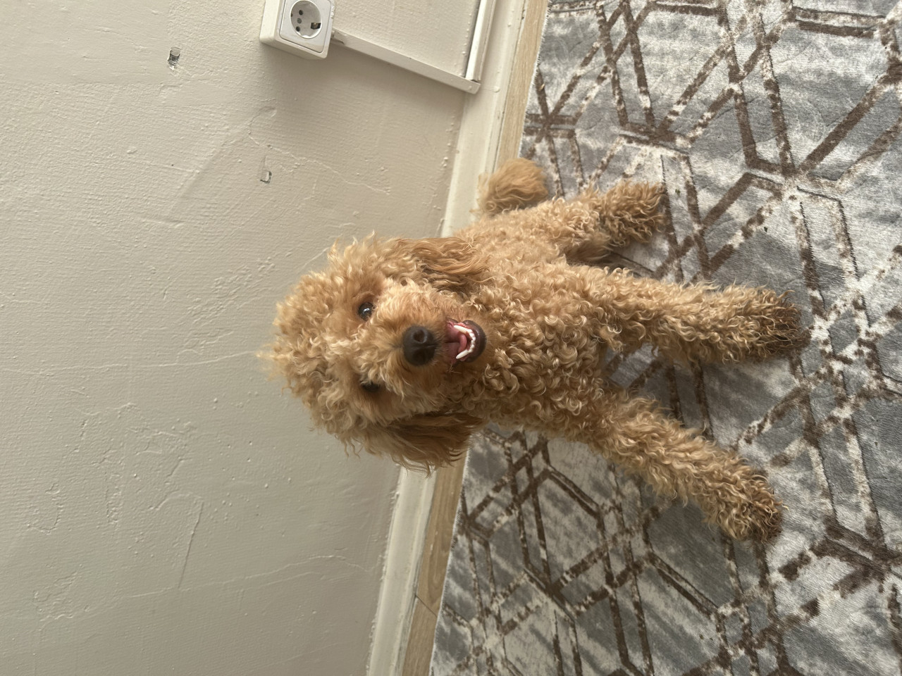 Kızıma acilen çift aday