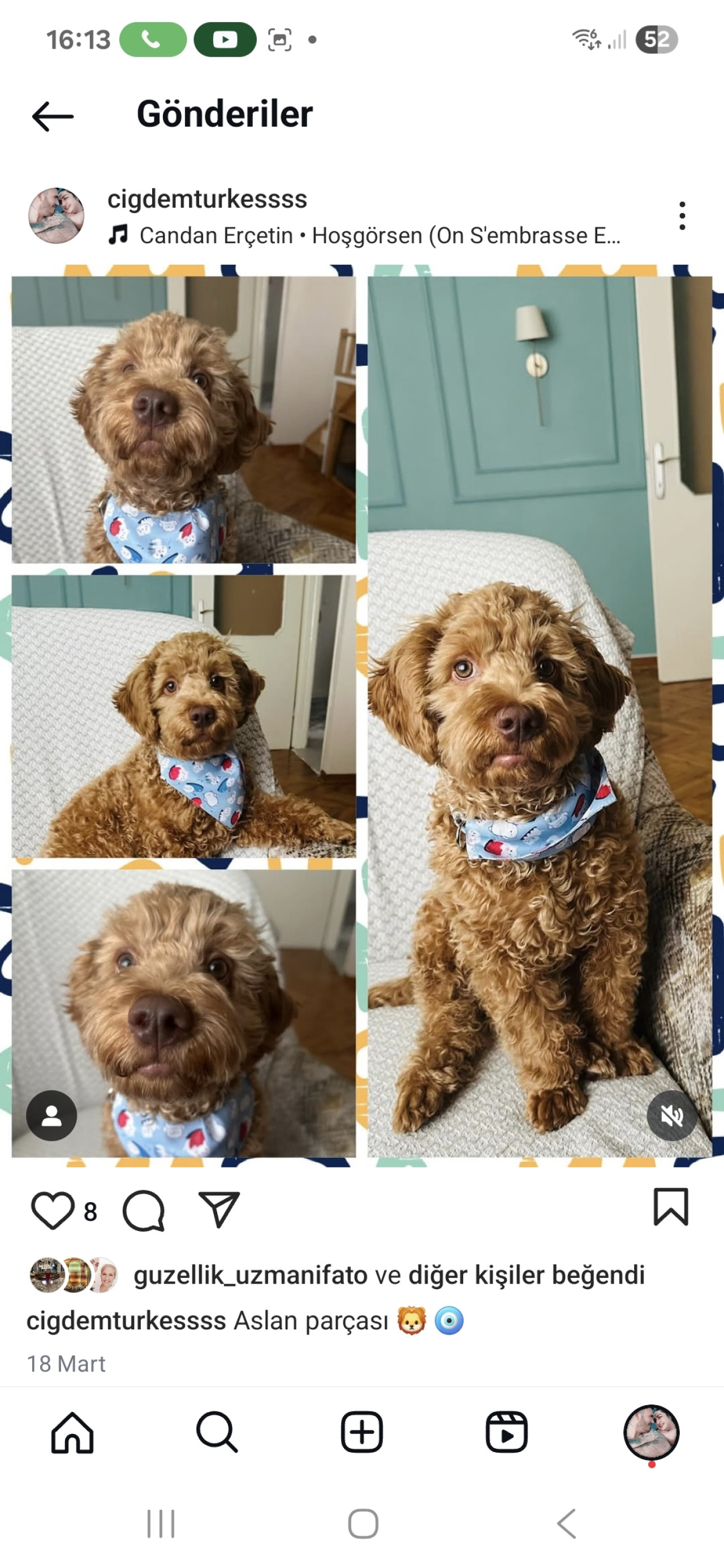 Oğluma eş arıyoruz 2