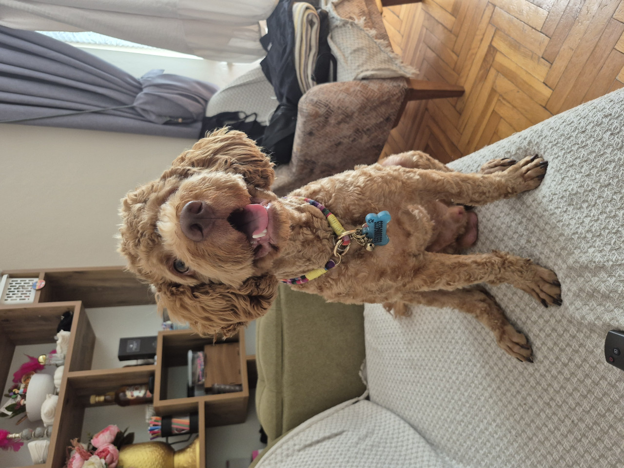 Oğluma eş arıyoruz 1