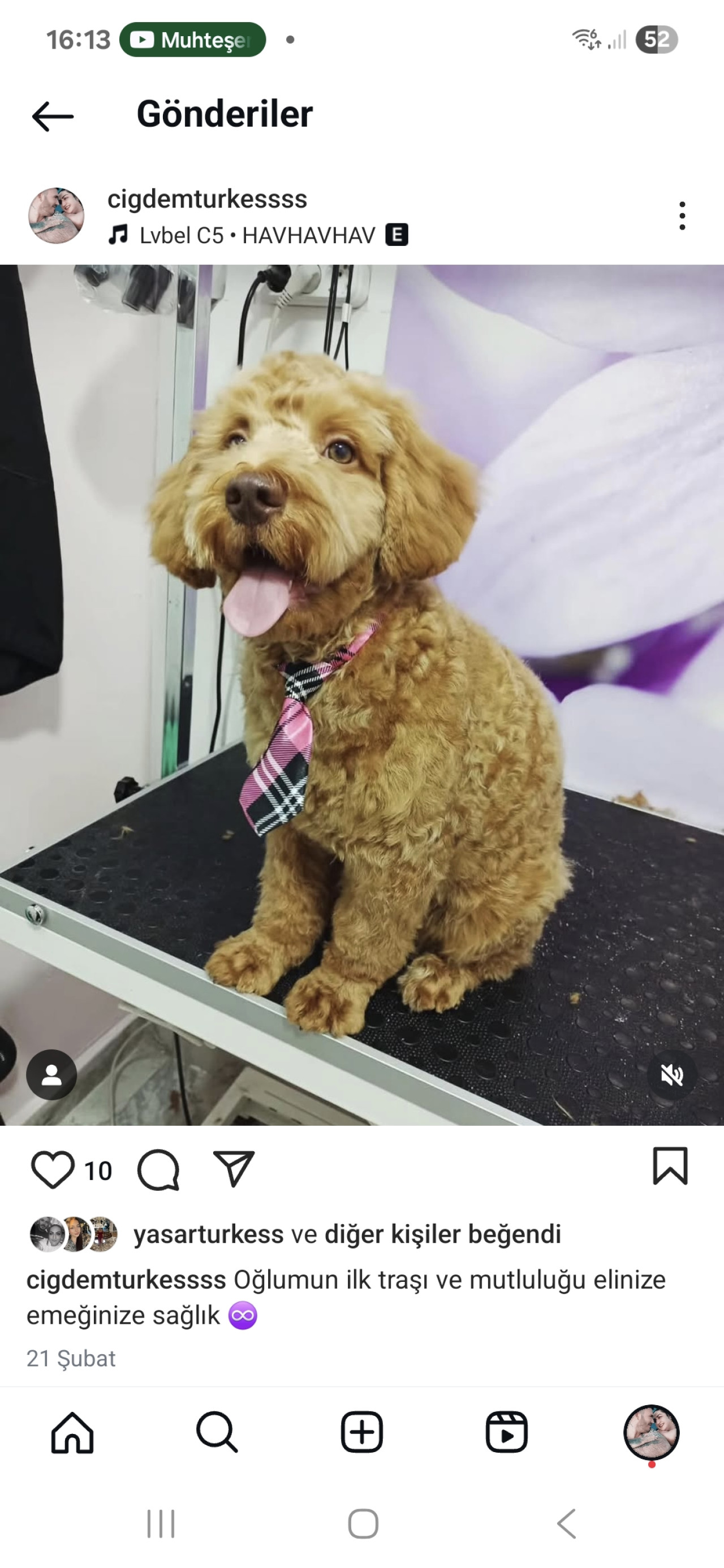 Oğluma eş arıyoruz 3