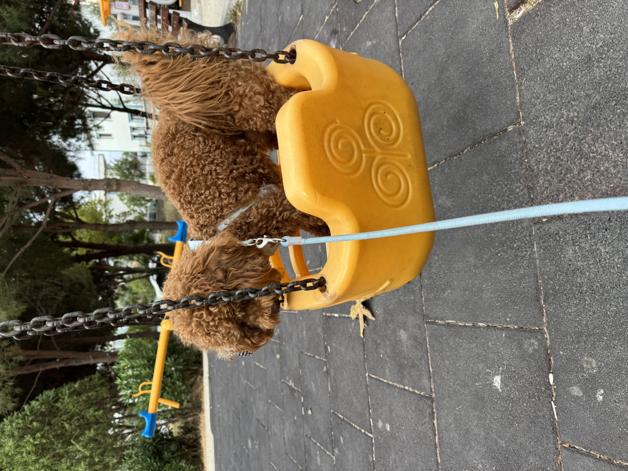 1 yaşında oğluma eş arıyoruz