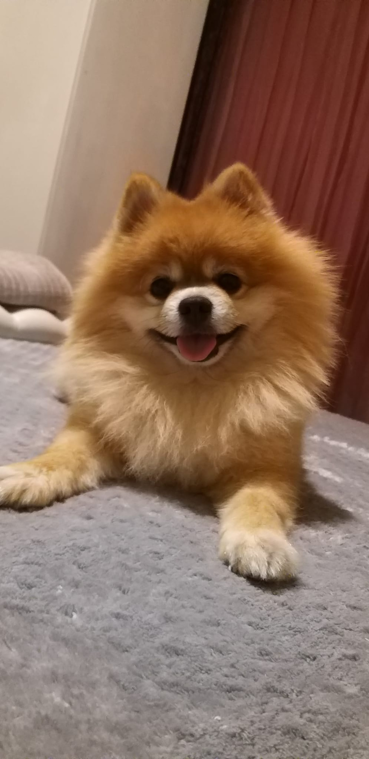 Kız arkadaşını arıyor 2