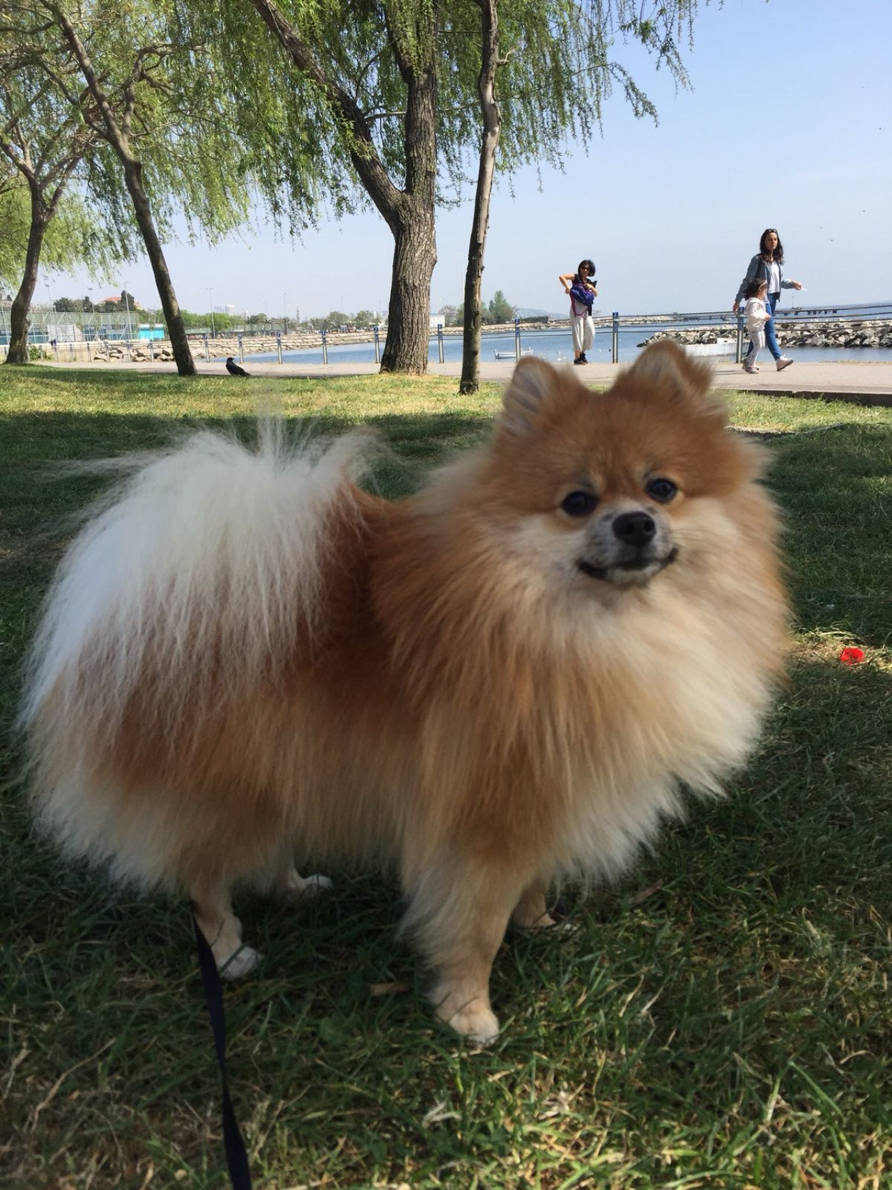 Kız arkadaşını arıyor 3