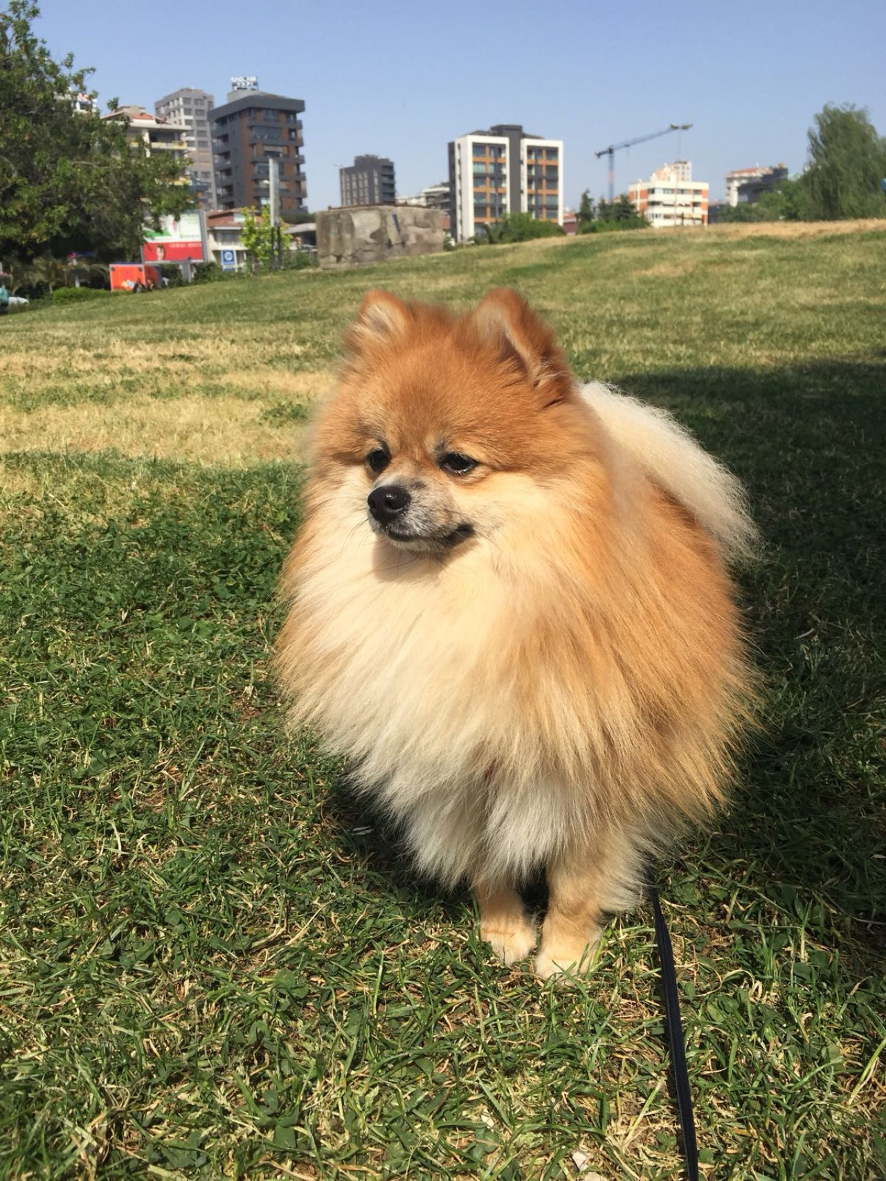 Kız arkadaşını arıyor 4