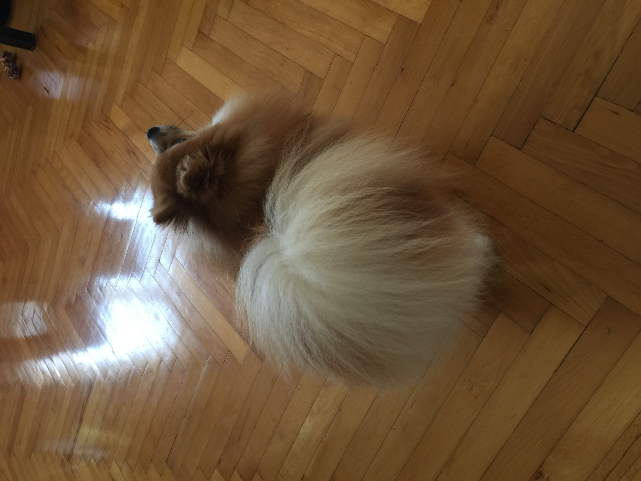 Kız arkadaşını arıyor 7