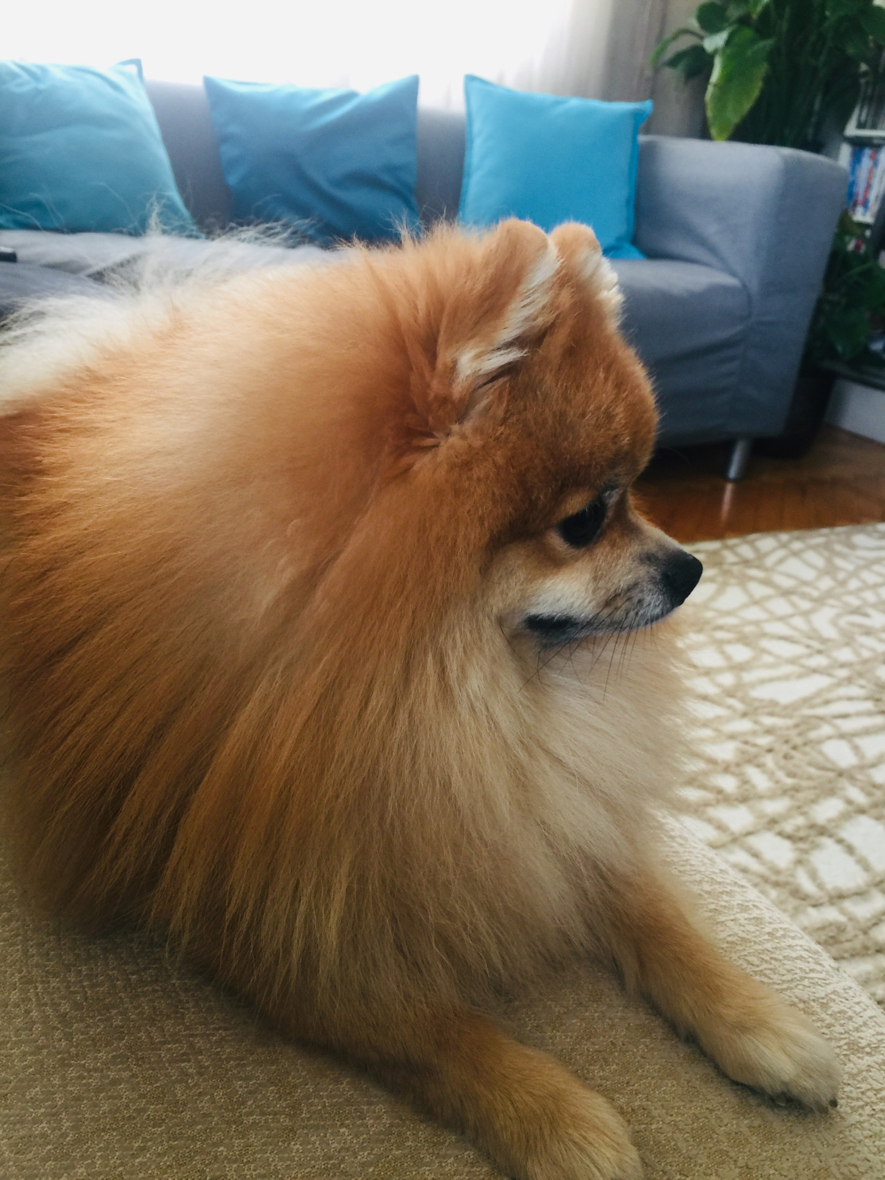 Kız arkadaşını arıyor 6