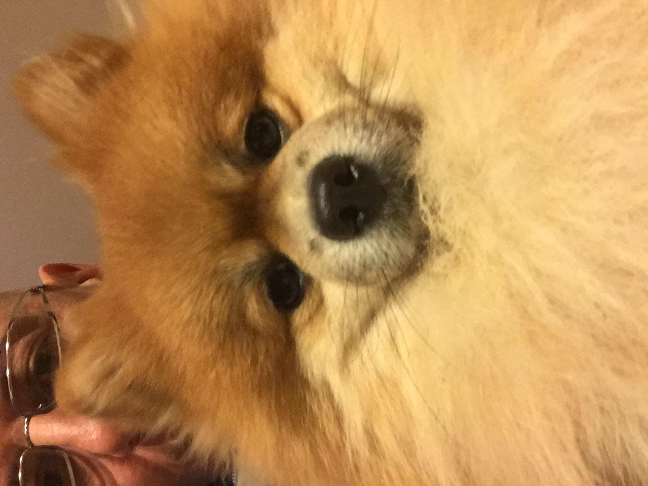 Kız arkadaşını arıyor 8