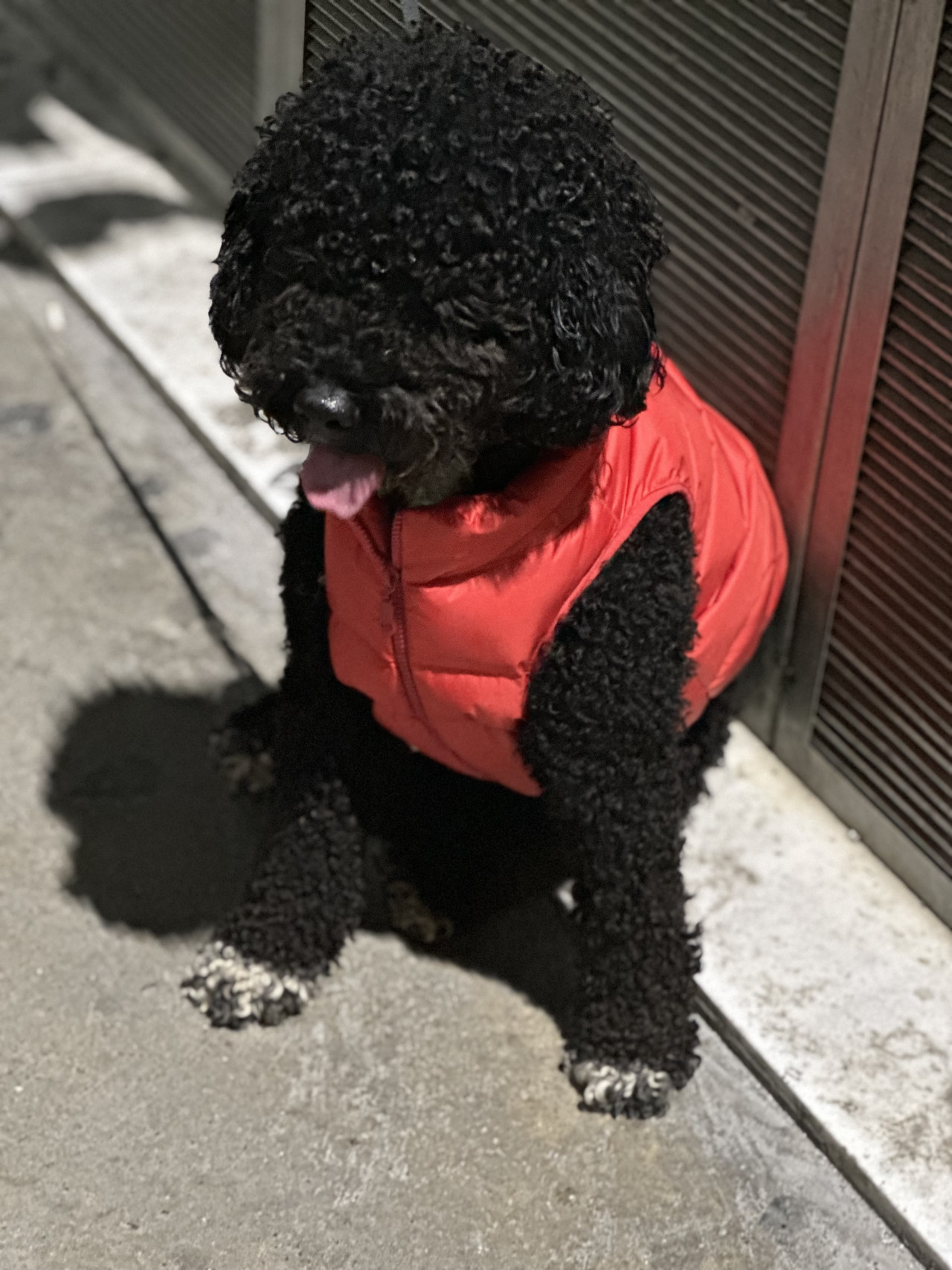 Oğluşuma eş arıyoruz