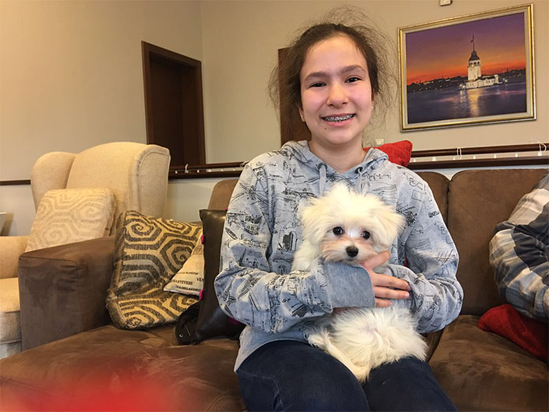 Ankara Dan Eris Ailesi Maltese Terrier Yavrusuna Kavustu